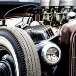 Pet-Friendly Cabin – Take Furry Friends to See the Worlds